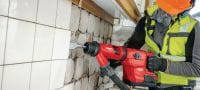 Cinzéis para cerâmica TE-Y TI Cinzéis para cerâmica SDS Max (TE-Y) autoafiáveis para raspar material excedente nas superfícies Aplicações 1