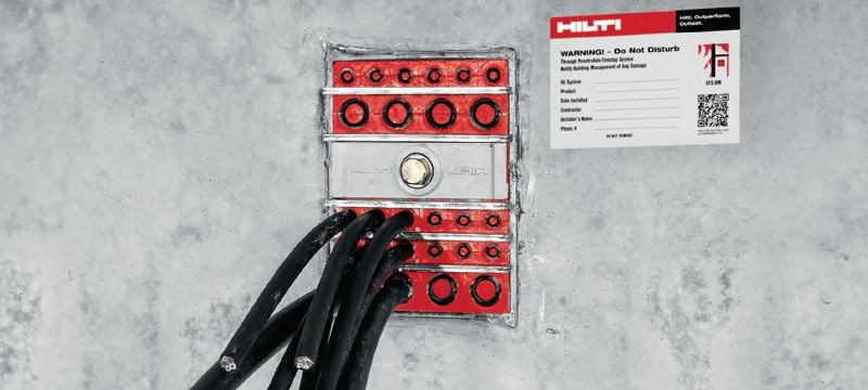 Módulo para cabos CFS-T Módulos para vedar cabos/tubos dentro de uma estrutura de passagem quando se exige elevada impermeabilidade à água e a gases e resistência ao fogo Aplicações 1